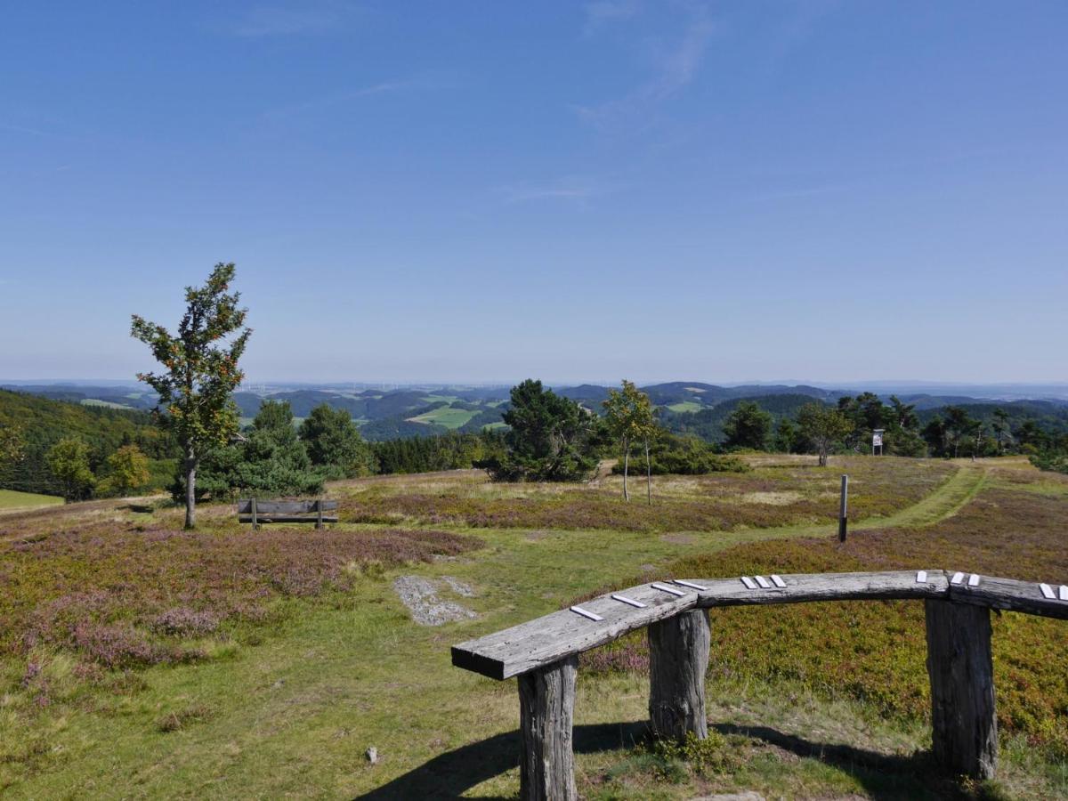 Fewo Blumes Bergfrieden mit MeineCardPlus Willingen  Exterior foto