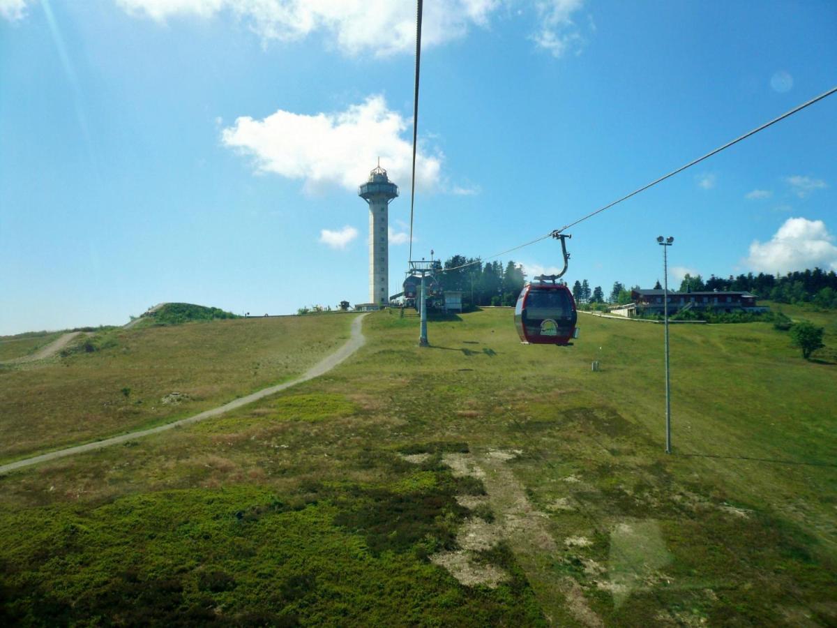 Fewo Blumes Bergfrieden mit MeineCardPlus Willingen  Exterior foto
