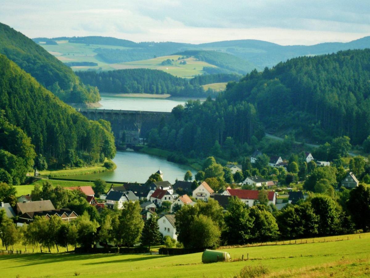 Fewo Blumes Bergfrieden mit MeineCardPlus Willingen  Exterior foto