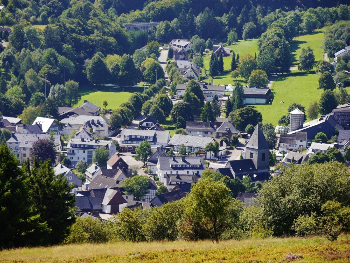 Fewo Blumes Bergfrieden mit MeineCardPlus Willingen  Exterior foto